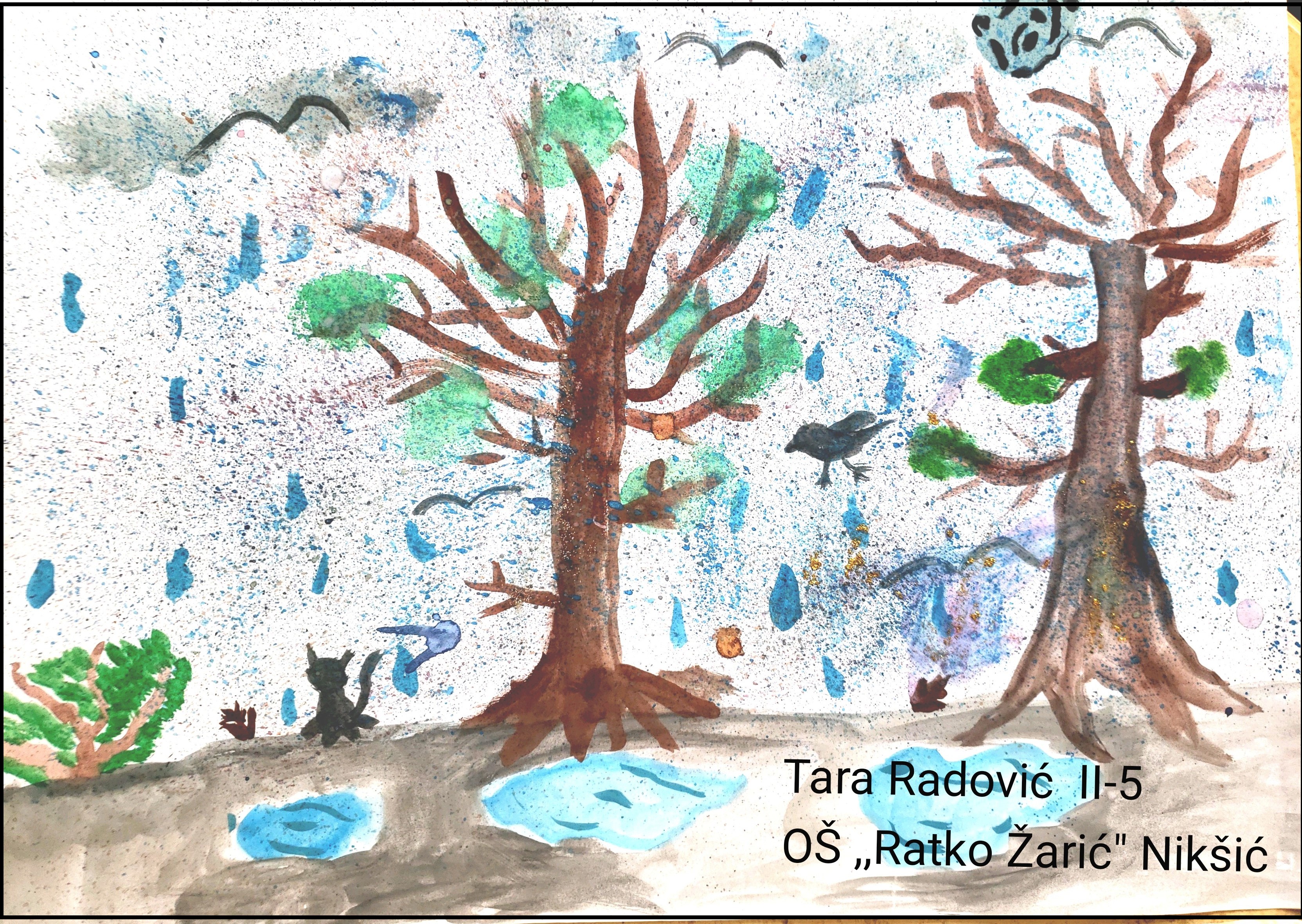 2. Tara Radović II-5 OŠ ,,Ratko Žarić'' Nikšić.jpg